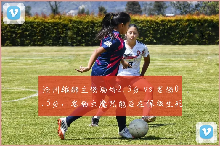 沧州雄狮主场场均2.3分 vs 客场0.5分，客场虫魔咒能否在保级生死战打破？